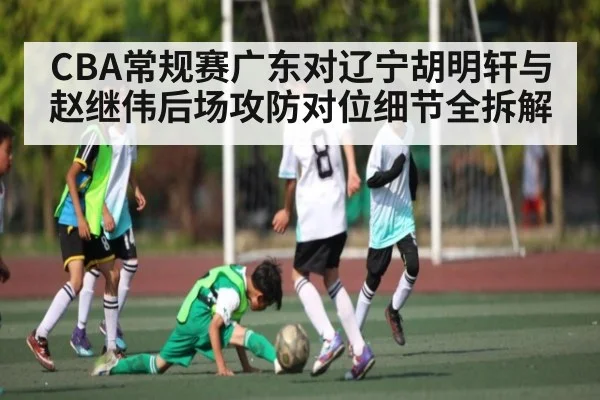 CBA常规赛广东对辽宁胡明轩与赵继伟后场攻防对位细节全拆解